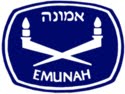 emunah america