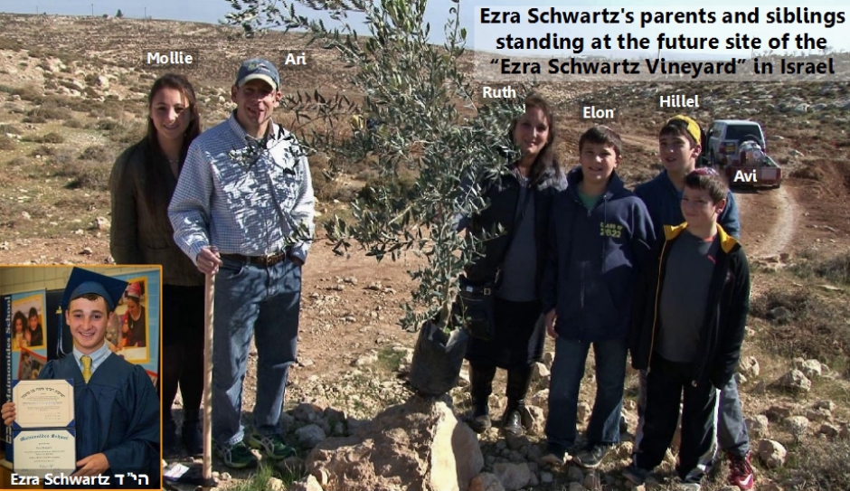 trees for ezra