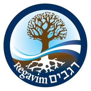 Nachum at Regavim logo